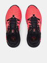 Under Armour UA Project Rock 6 Tenisky