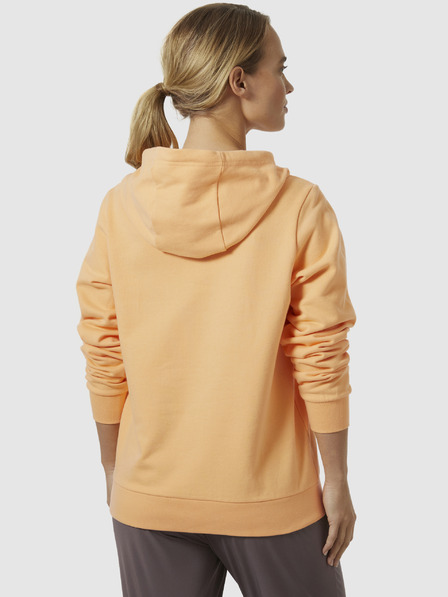 Helly Hansen HH Logo Hoodie 2.0 Mikina