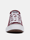 Converse Chuck Taylor All Star Tenisky