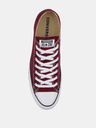 Converse Chuck Taylor All Star Tenisky