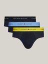 Tommy Hilfiger Underwear Slipy 3 ks