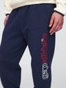 GAP Tepláky Gap Athletic GAP