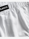 Atlantic Pánské slipy ATLANTIC Sport 2Pack
