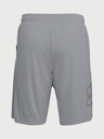 Under Armour Pánské kraťasy Under Armour Tech Graphic Short