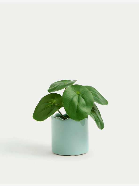 Marks & Spencer Umělá mini rostlina  v květináči Marks & Spencer Pilea