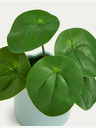 Marks & Spencer Umělá mini rostlina  v květináči Marks & Spencer Pilea