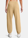 Under Armour Dámské kalhoty Under Armour UA Icon HWT Flc OS Pant-BRN