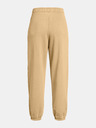 Under Armour Dámské kalhoty Under Armour UA Icon HWT Flc OS Pant-BRN