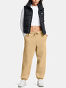 Under Armour Dámské kalhoty Under Armour UA Icon HWT Flc OS Pant-BRN