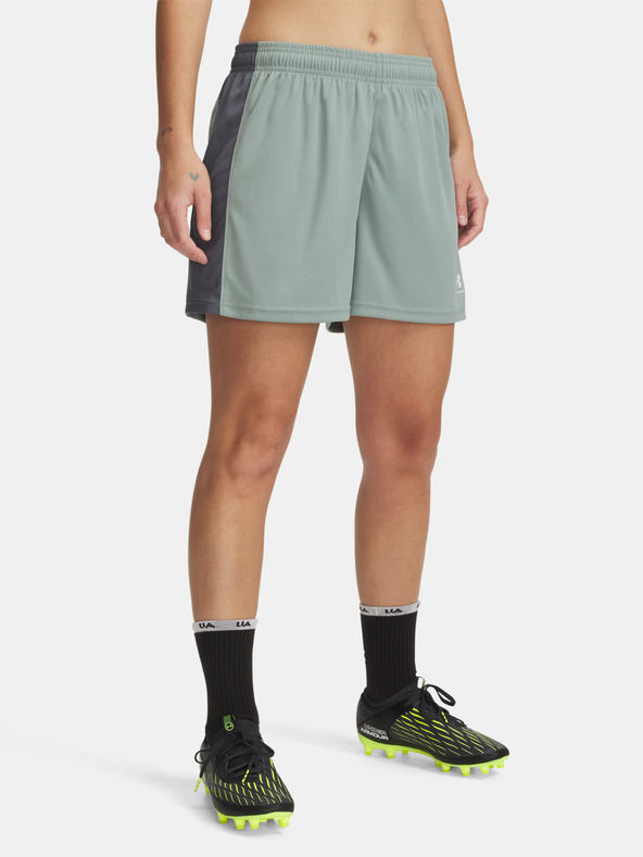 Under Armour Dámské kraťasy Under Armour UA W's Ch. Knit Short