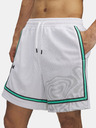Under Armour Pánské kraťasy Under Armour Zone Pro 7in Mesh Shrt Prntd