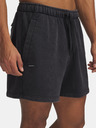Under Armour Pánské kraťasy Under Armour UA Icon HWT Flc Wash St