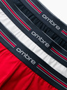 Ombre Clothing Klasické pánské boxerky s pruhem a gumou Ombre Clothing