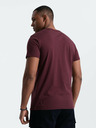 Ombre Clothing Pánské klasické bavlněné tričko BASIC Ombre Clothing