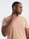 Ombre Clothing Pánské klasické bavlněné tričko BASIC Ombre Clothing