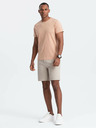 Ombre Clothing Pánské klasické bavlněné tričko BASIC Ombre Clothing