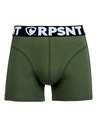 Represent Pánské trenky EXCLUSIVE SPORT GREEN Represent