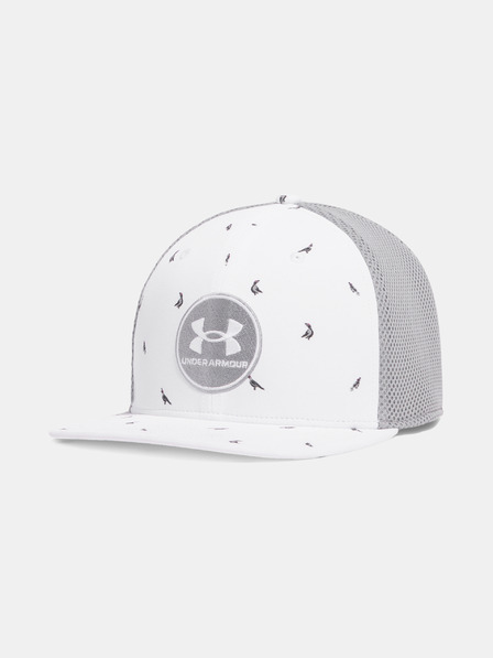 Under Armour Pánská kšiltovka Under Armour M DRIVE PM STR