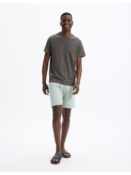 Celio Kraťasy Loshort2
