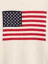 GAP Svetr Gap Americana GAP