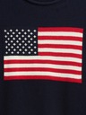 GAP Svetr Gap Americana GAP