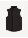 Celio Vesta Fujessy
