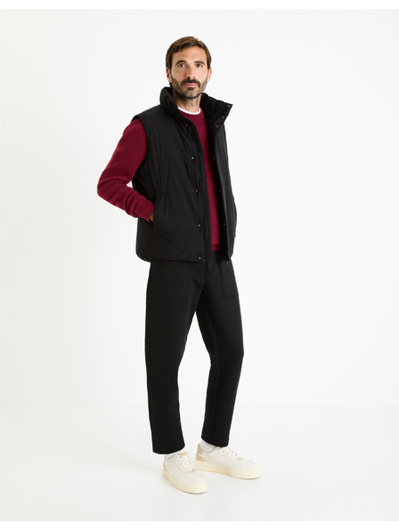 Celio Vesta Fujessy