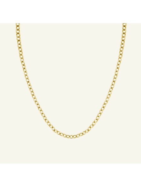 Rosefield Rosefield náhrdelník zlaté barvy Oval Chainlink JNOCG-J626