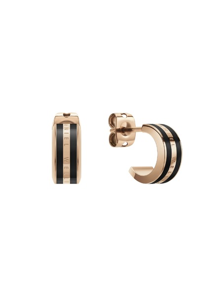 Daniel Wellington Ocelové náušnice Daniel Wellington DW00400310