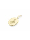 Rosefield Rosefield přívěsek zlaté barvy Zodiac Coin Štír